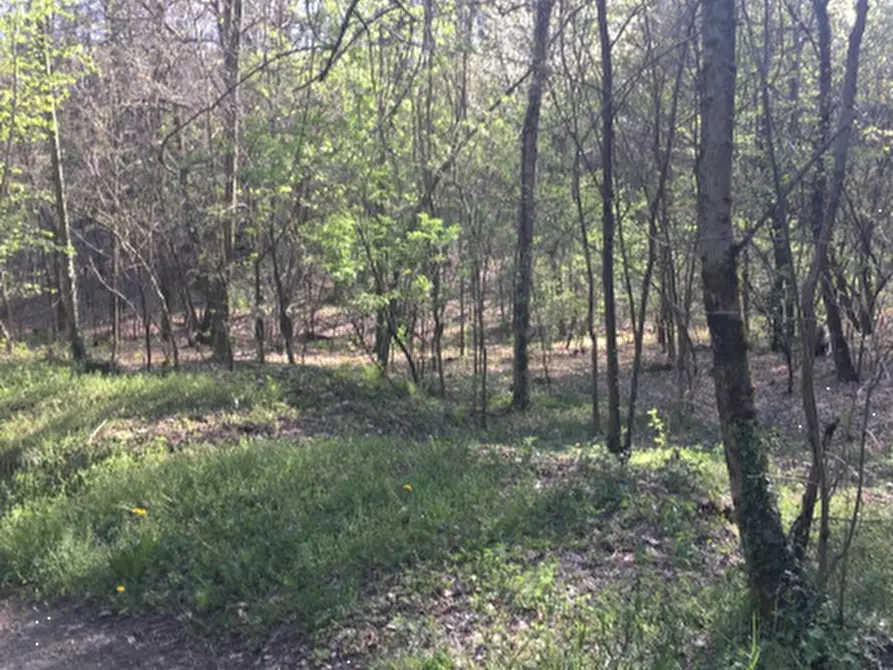 Immagine 3 di Terreno agricolo in vendita  in Via degli Alpini a Lipomo