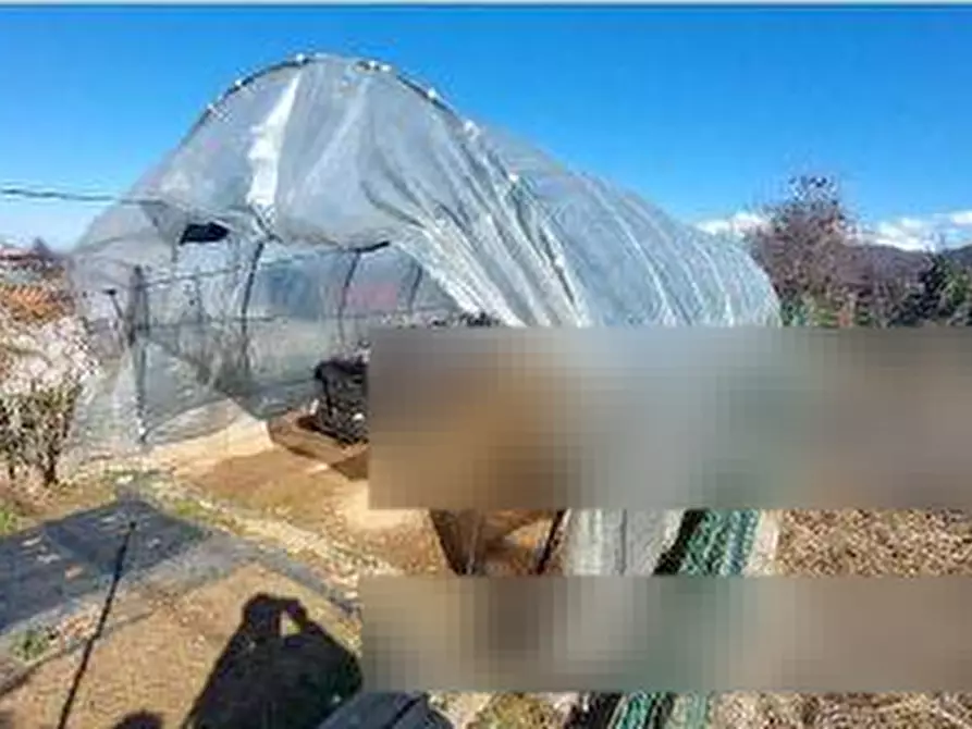 Immagine 2 di Terreno agricolo in vendita  in Via Morozza a Peveragno