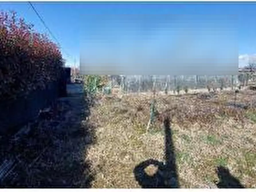 Immagine 3 di Terreno agricolo in vendita  in Via Morozza a Peveragno