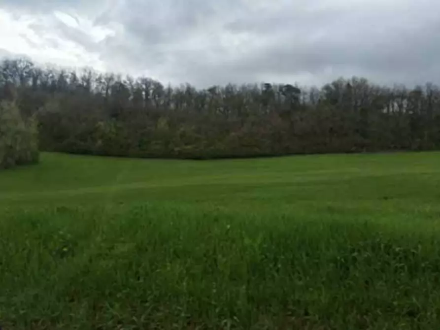 Immagine 1 di Terreno agricolo in vendita  in Loc. Scipione- Ponte Boselli a Salsomaggiore Terme