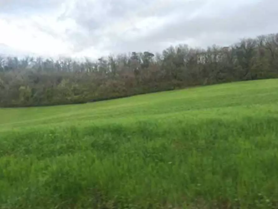 Immagine 2 di Terreno agricolo in vendita  in Loc. Scipione- Ponte Boselli a Salsomaggiore Terme