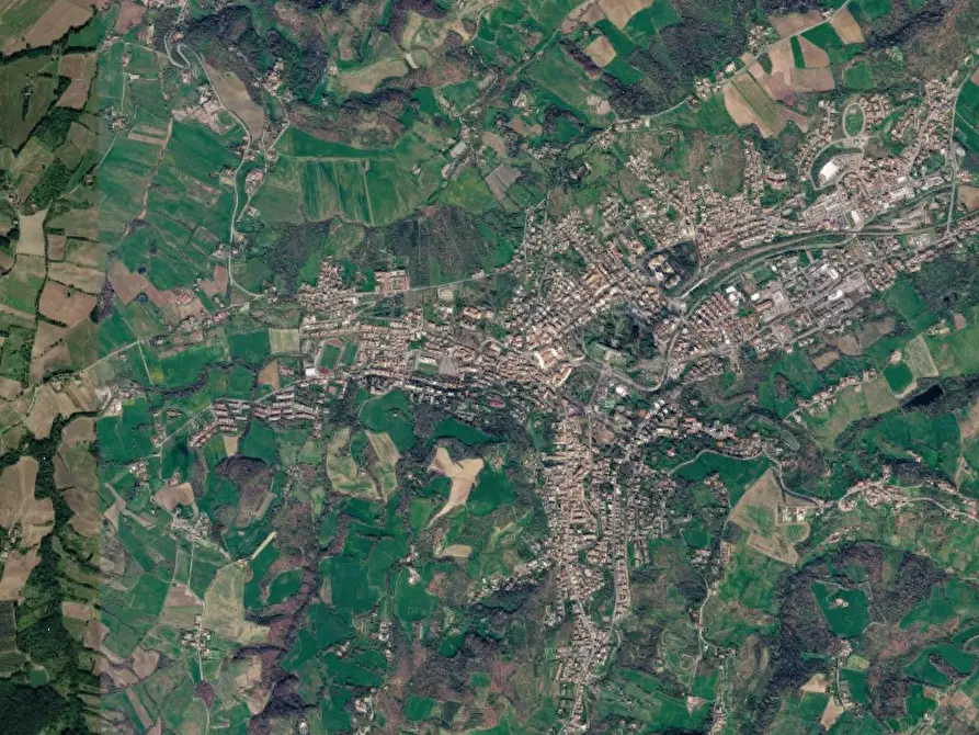 Immagine 3 di Terreno agricolo in vendita  in Loc. Scipione- Ponte Boselli a Salsomaggiore Terme