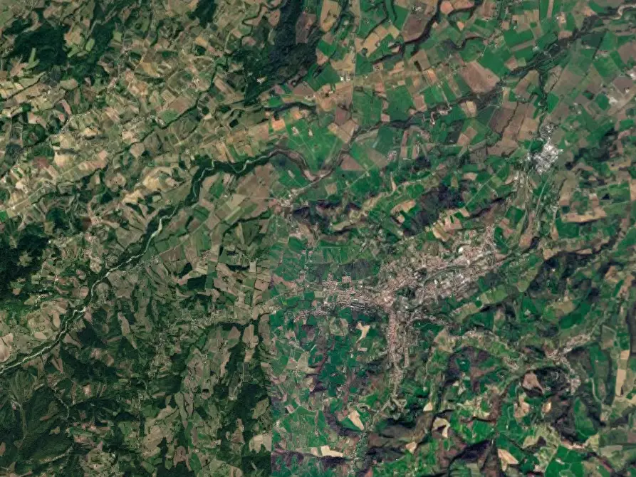 Immagine 7 di Terreno agricolo in vendita  in Loc. Scipione- Ponte Boselli a Salsomaggiore Terme