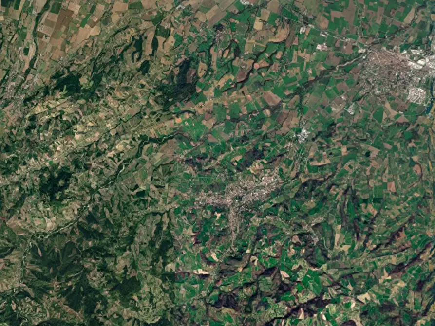 Immagine 8 di Terreno agricolo in vendita  in Loc. Scipione- Ponte Boselli a Salsomaggiore Terme