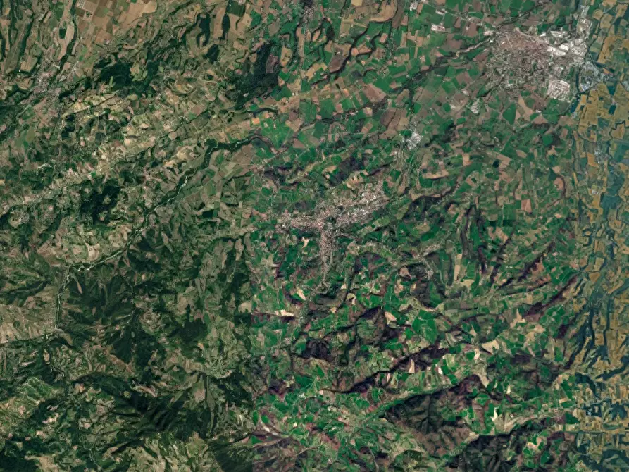 Immagine 9 di Terreno agricolo in vendita  in Loc. Scipione- Ponte Boselli a Salsomaggiore Terme