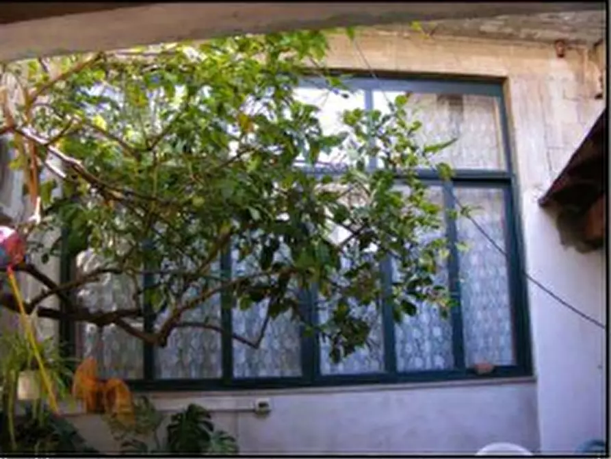 Immagine 6 di Casa indipendente in vendita  in Via Giotto a Siliqua