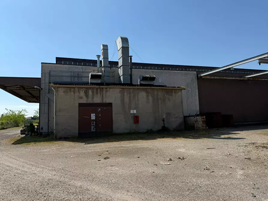Immagine 5 di Capannone industriale in vendita  in via Cirillo Bassi a Galliera
