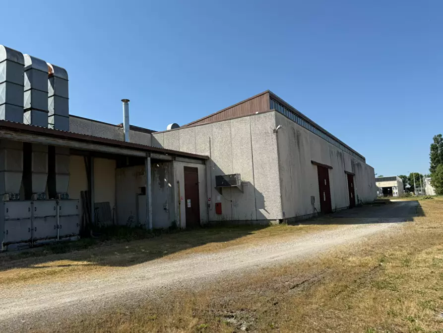 Immagine 6 di Capannone industriale in vendita  in via Cirillo Bassi a Galliera