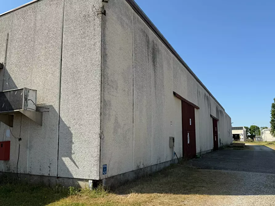 Immagine 7 di Capannone industriale in vendita  in via Cirillo Bassi a Galliera