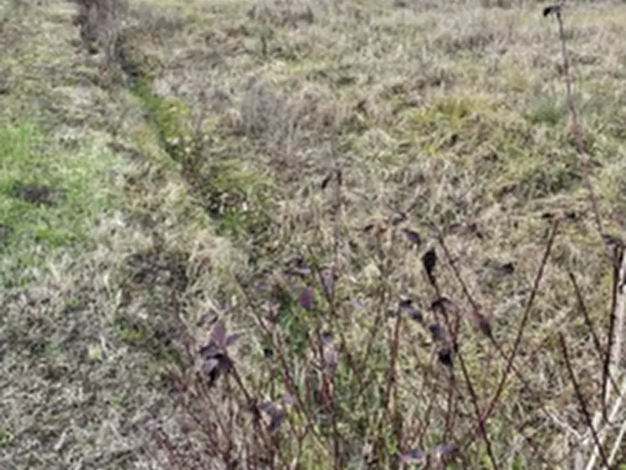 Immagine 1 di Terreno agricolo in vendita  in Via Col San Martino a Farra Di Soligo