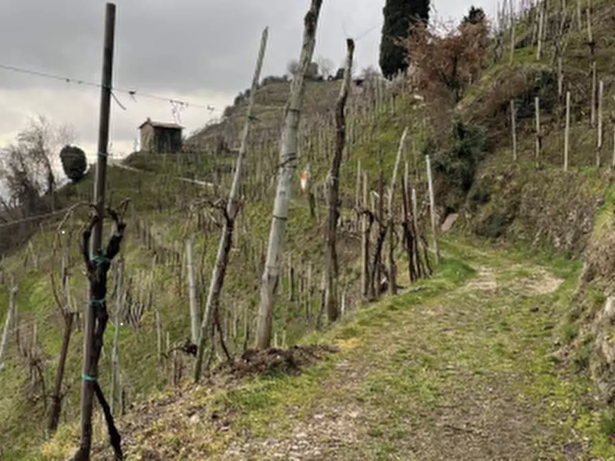 Immagine 2 di Terreno agricolo in vendita  in Via San Giorgio a Farra Di Soligo