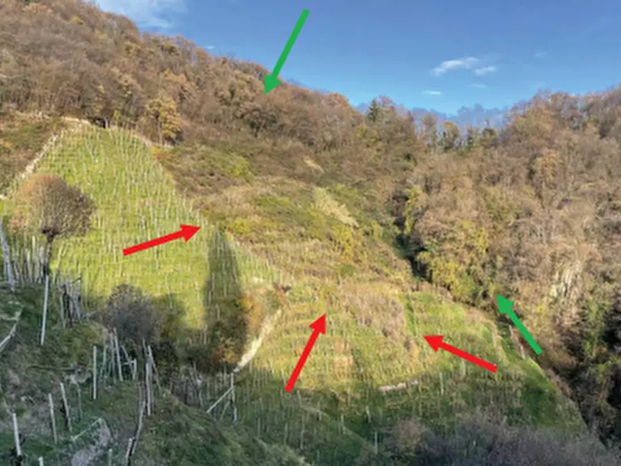 Immagine 1 di Terreno agricolo in vendita  in Via San Giorgio a Farra Di Soligo