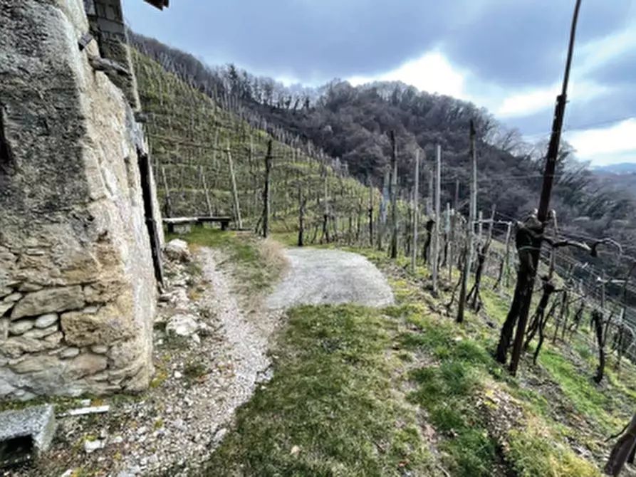 Immagine 3 di Terreno agricolo in vendita  in Via San Giorgio a Farra Di Soligo