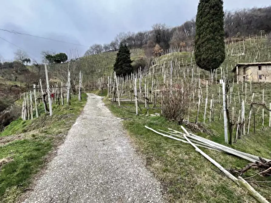 Immagine 4 di Terreno agricolo in vendita  in Via San Giorgio a Farra Di Soligo