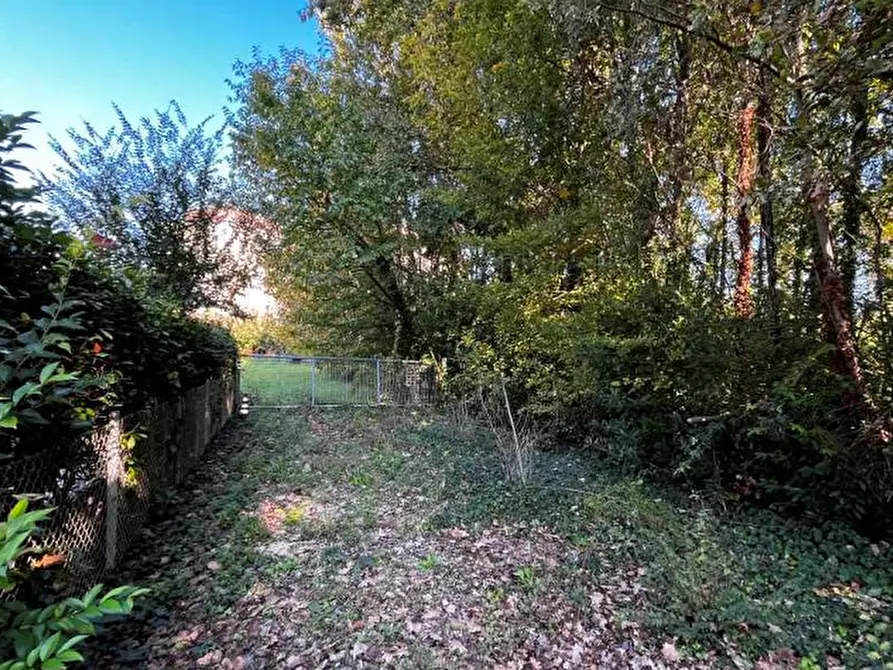 Immagine 3 di Appartamento in vendita  in Via Zecchette a Treviso