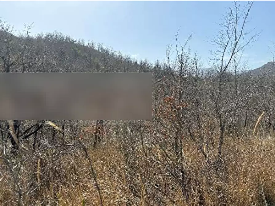 Immagine 3 di Terreno agricolo in vendita  in Bagnoli del Trigno a Bagnoli Del Trigno
