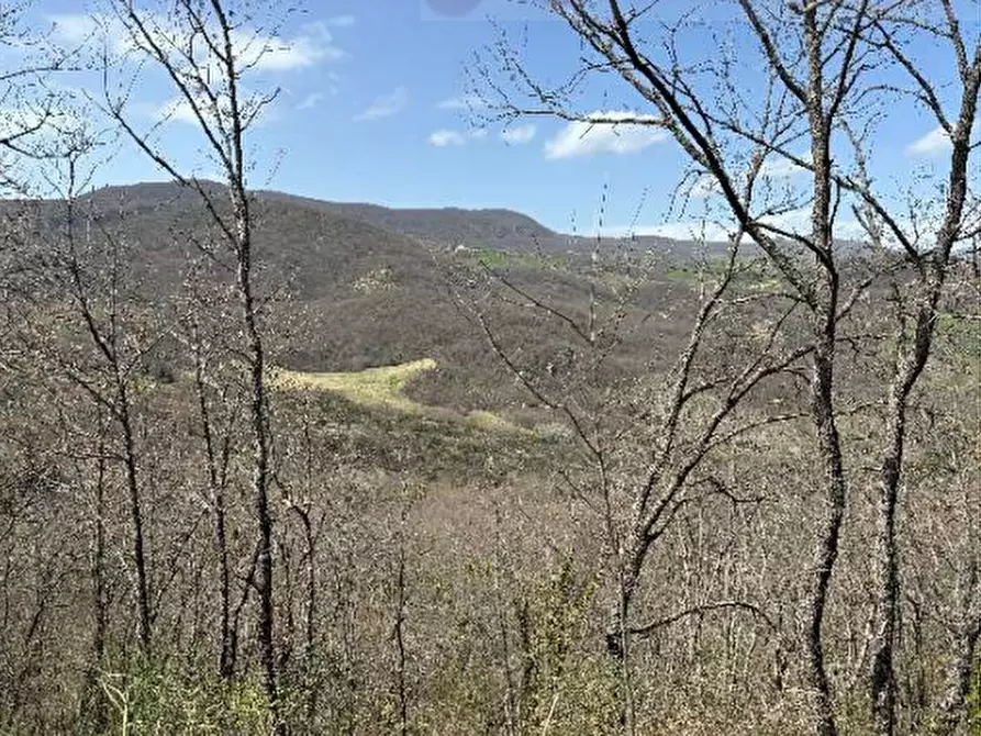 Immagine 2 di Terreno agricolo in vendita  in Bagnoli del Trigno a Bagnoli Del Trigno