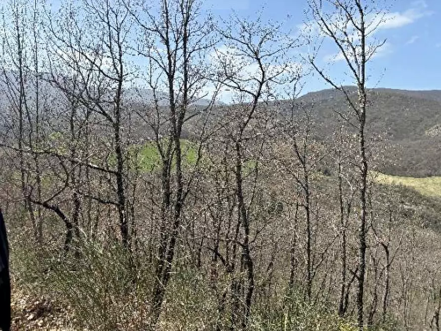 Immagine 1 di Terreno agricolo in vendita  in Bagnoli del Trigno a Bagnoli Del Trigno
