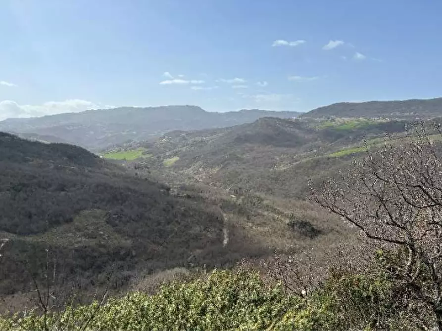 Immagine 7 di Terreno agricolo in vendita  in Bagnoli del Trigno a Bagnoli Del Trigno