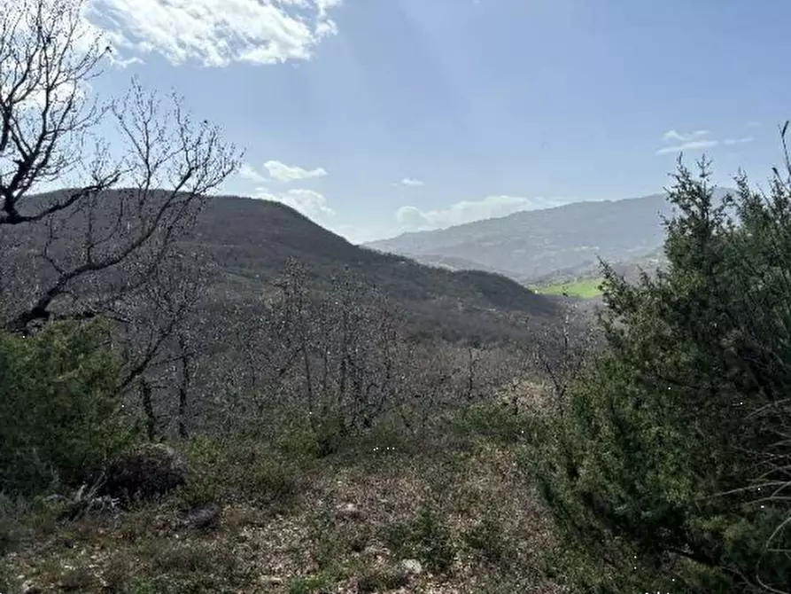 Immagine 8 di Terreno agricolo in vendita  in Bagnoli del Trigno a Bagnoli Del Trigno