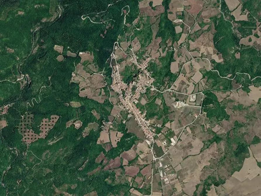 Immagine 12 di Terreno agricolo in vendita  in Bagnoli del Trigno a Bagnoli Del Trigno