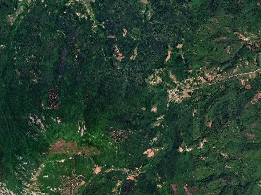Immagine 6 di Terreno agricolo in vendita  in Località Pradeboni a Peveragno