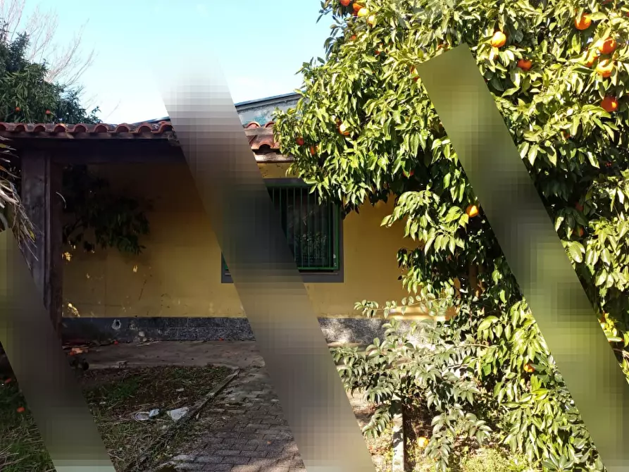 Immagine 2 di Magazzino in vendita  in Via Varlese a Cassino