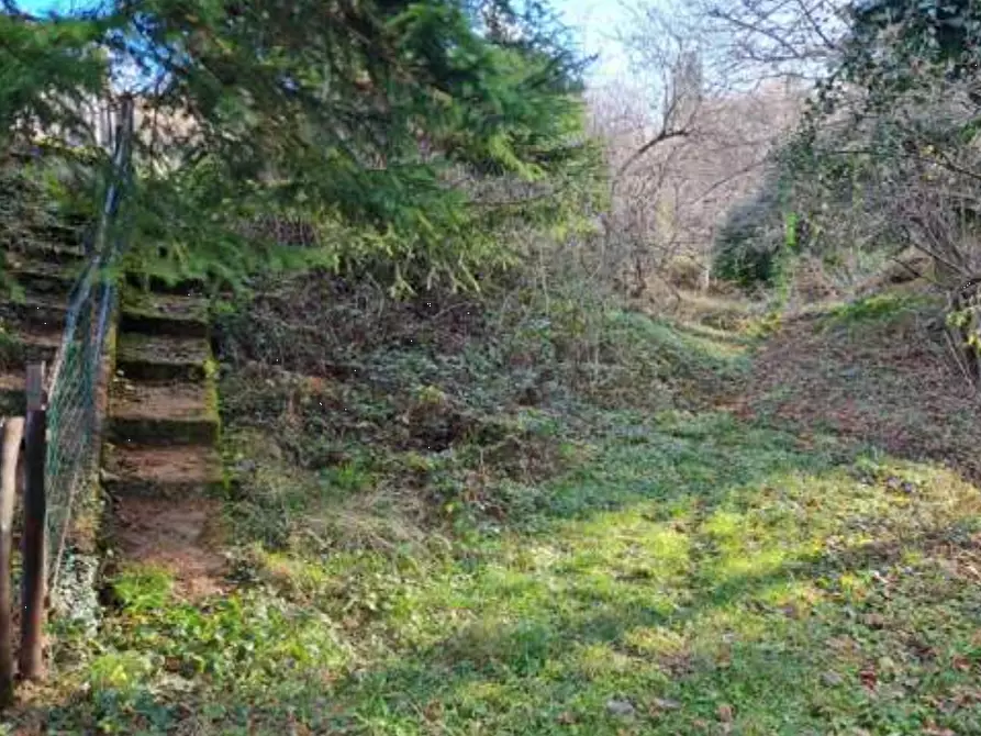 Immagine 2 di Terreno agricolo in vendita  in Via Camarelli a San Giovanni Bianco
