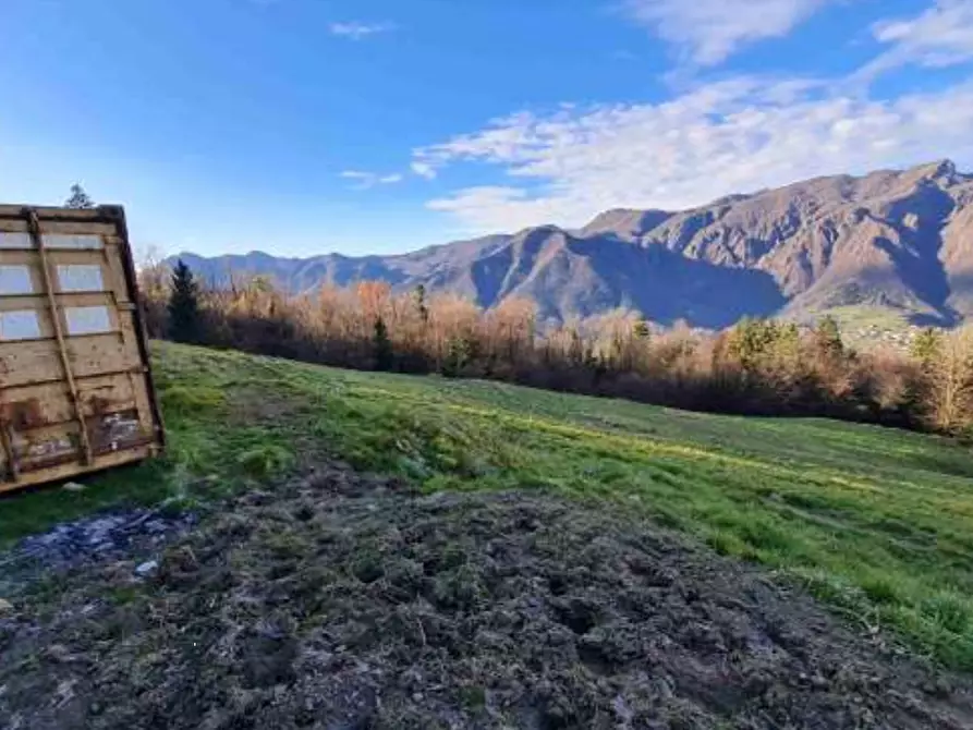 Immagine 4 di Terreno agricolo in vendita  in Via Camarelli a San Giovanni Bianco