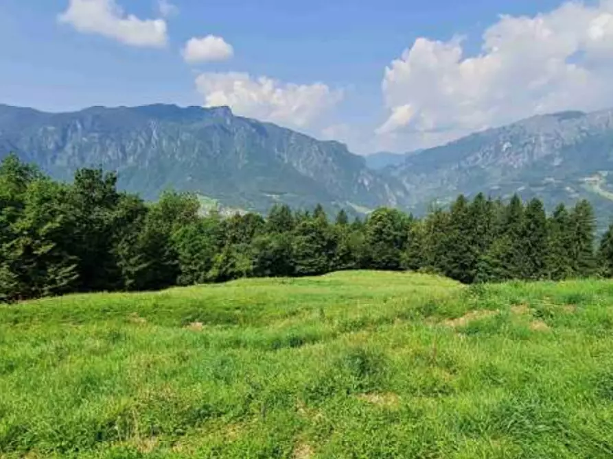 Immagine 5 di Terreno agricolo in vendita  in Via Camarelli a San Giovanni Bianco