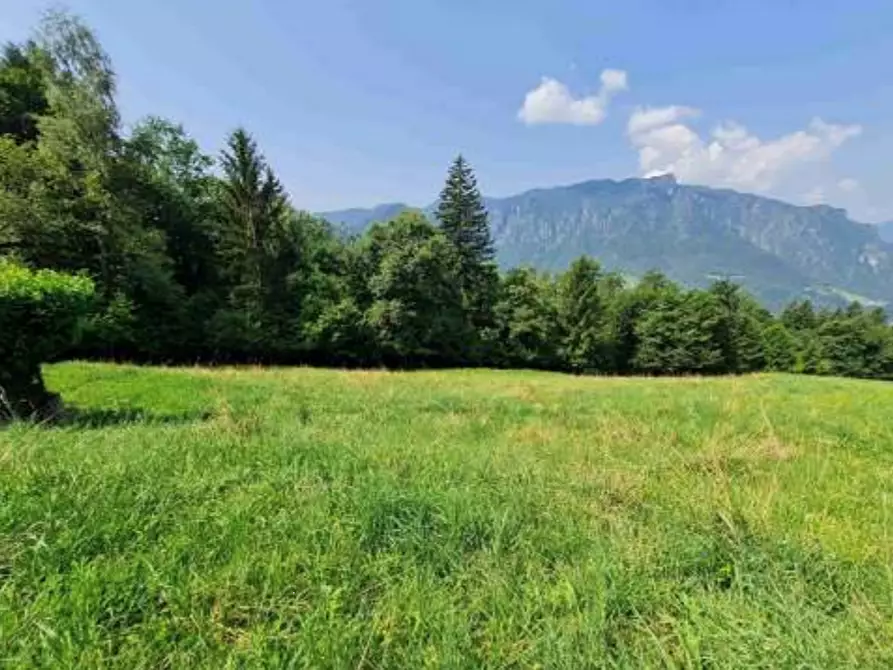 Immagine 6 di Terreno agricolo in vendita  in Via Camarelli a San Giovanni Bianco