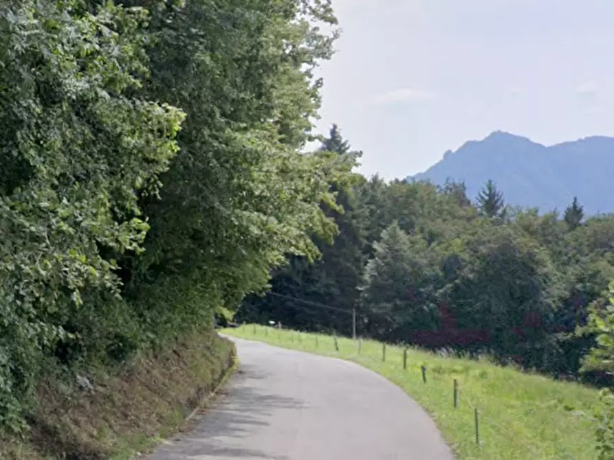 Immagine 8 di Terreno agricolo in vendita  in Via Camarelli a San Giovanni Bianco