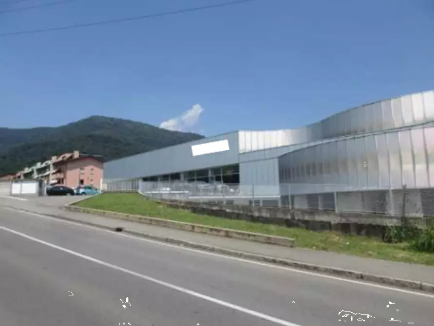 Immagine 1 di Capannone industriale in vendita  in Via Pietro Noris a Alzano Lombardo