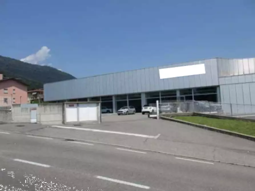 Immagine 2 di Capannone industriale in vendita  in Via Pietro Noris a Alzano Lombardo