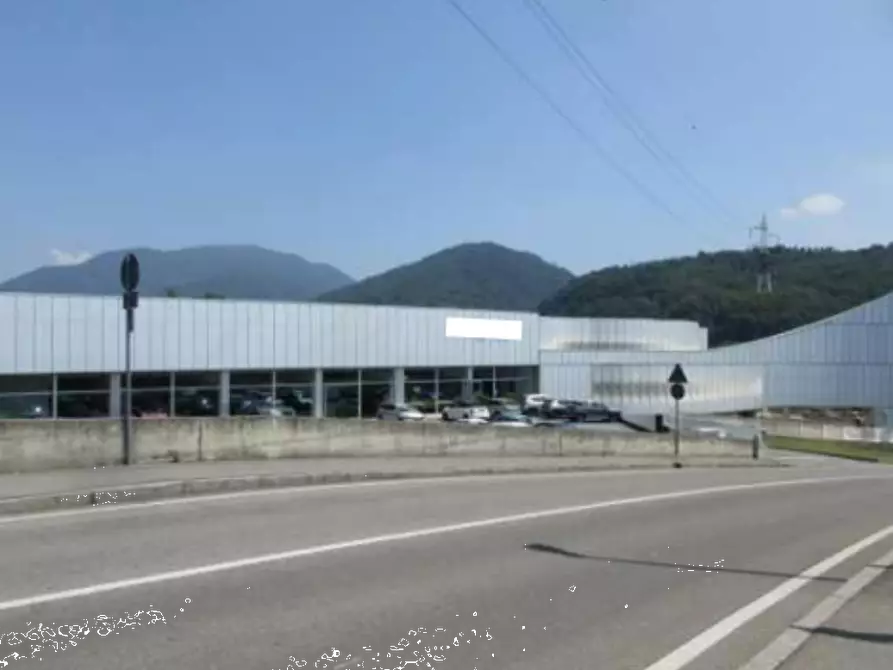 Immagine 3 di Capannone industriale in vendita  in Via Pietro Noris a Alzano Lombardo