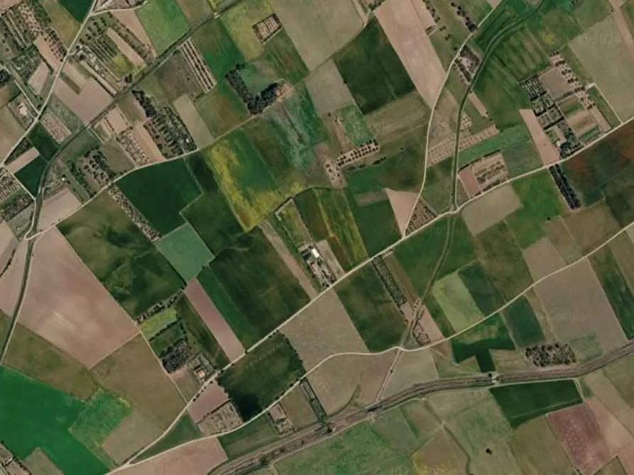 Immagine 5 di Terreno agricolo in vendita  in Località Is Ollastu a Cagliari