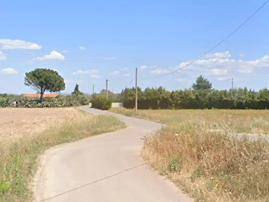 Immagine 10 di Terreno agricolo in vendita  in Località Is Ollastu a Cagliari
