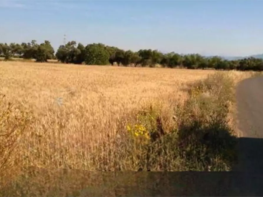 Immagine 12 di Terreno agricolo in vendita  in Località Is Ollastu a Cagliari