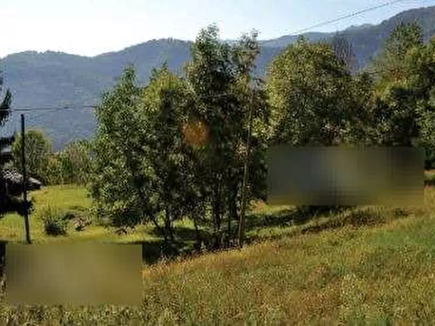 Immagine 2 di Terreno edificabile in vendita  in Borgata Ruciaia  a Paesana