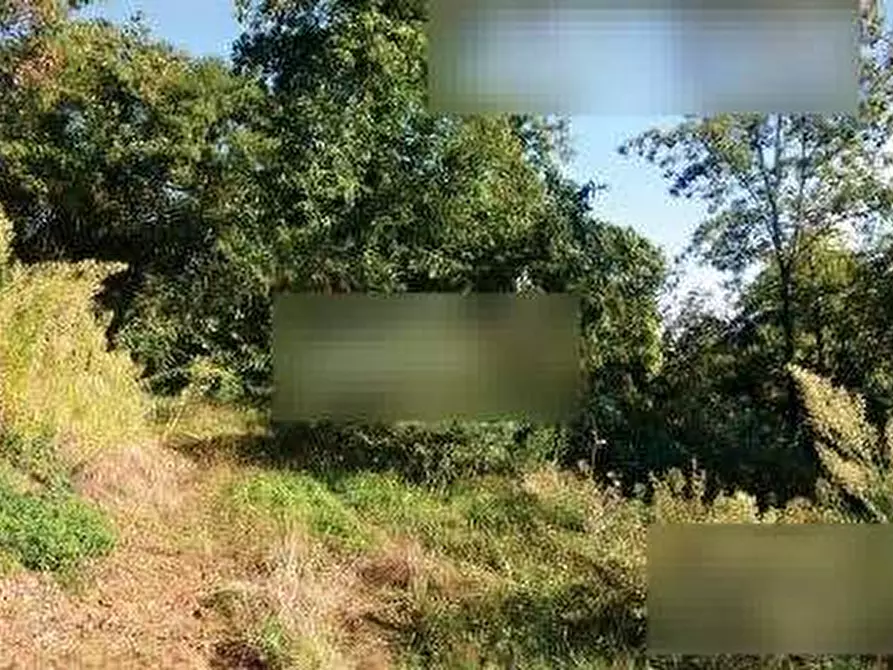 Immagine 4 di Terreno edificabile in vendita  in Borgata Ruciaia  a Paesana