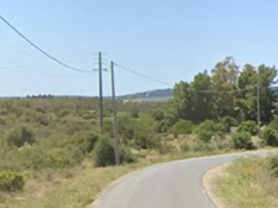 Immagine 5 di Terreno agricolo in vendita  in Località Sant'Anna Arresi  a Sant'anna Arresi