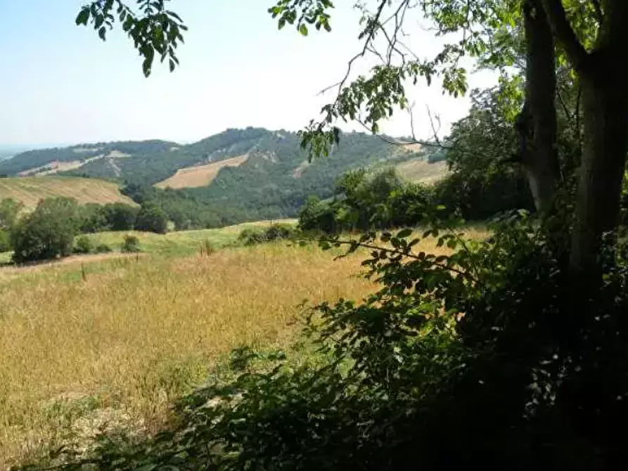 Immagine 10 di Terreno agricolo in vendita  in Strada comunale di Gabbiano a Noceto