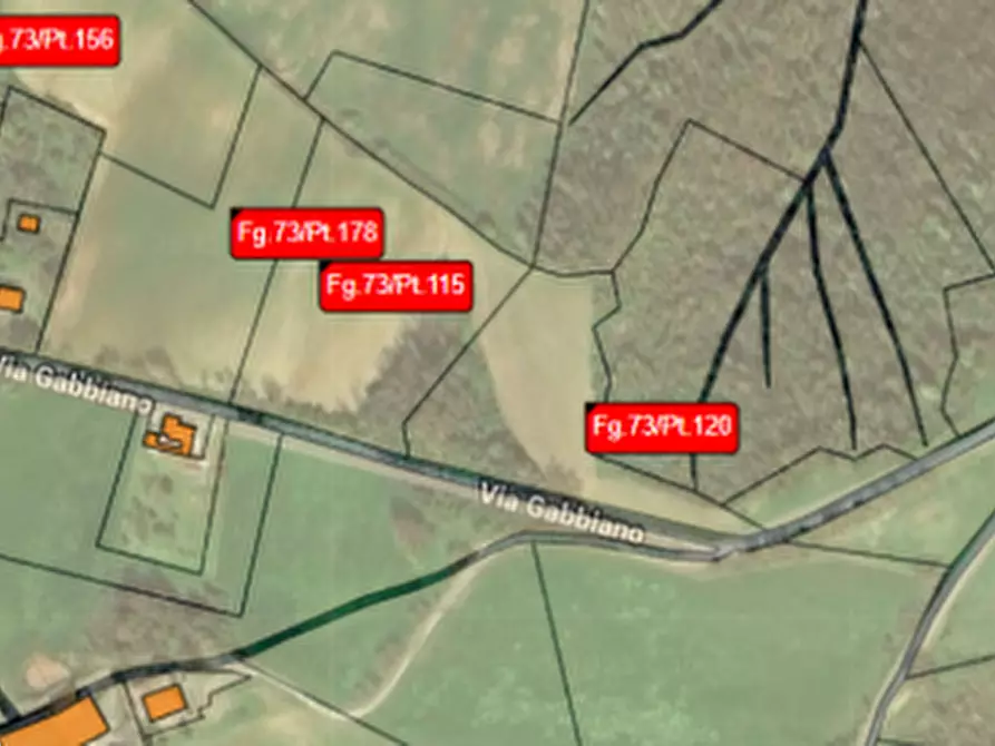 Immagine 4 di Terreno agricolo in vendita  in Strada comunale di Gabbiano a Noceto