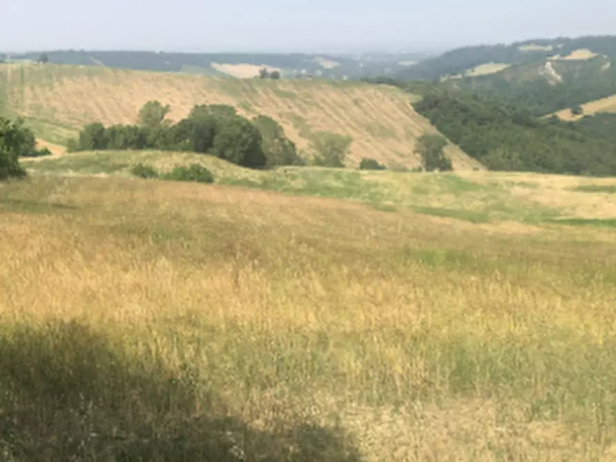 Immagine 1 di Terreno agricolo in vendita  in Strada comunale di Gabbiano a Noceto