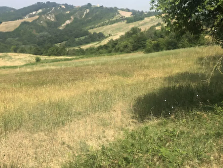 Immagine 18 di Terreno agricolo in vendita  in Strada comunale di Gabbiano a Noceto