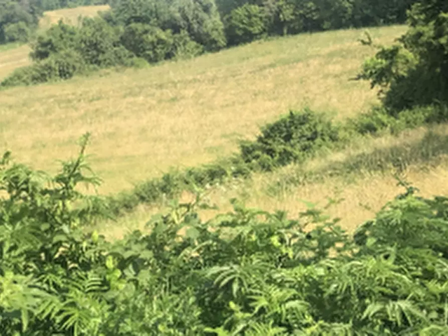 Immagine 3 di Terreno agricolo in vendita  in Strada comunale di Gabbiano a Noceto