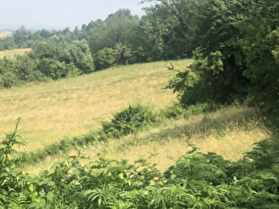 Immagine 19 di Terreno agricolo in vendita  in Strada comunale di Gabbiano a Noceto