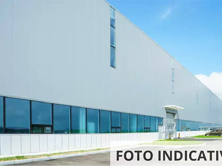 Immagine 20 di Capannone industriale in vendita  in Strada Argine Filippina a Sissa