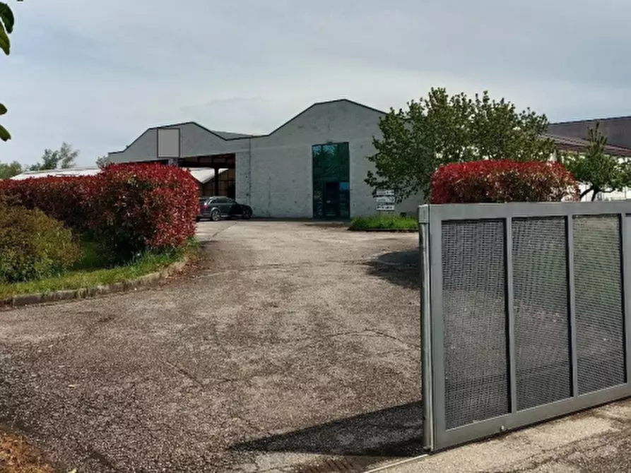 Immagine 1 di Capannone industriale in vendita  in Via Pietro Zorutti a San Giorgio Della Richinvelda