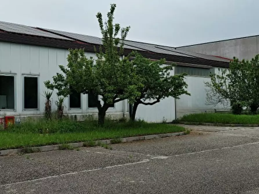 Immagine 6 di Capannone industriale in vendita  in Via Pietro Zorutti a San Giorgio Della Richinvelda
